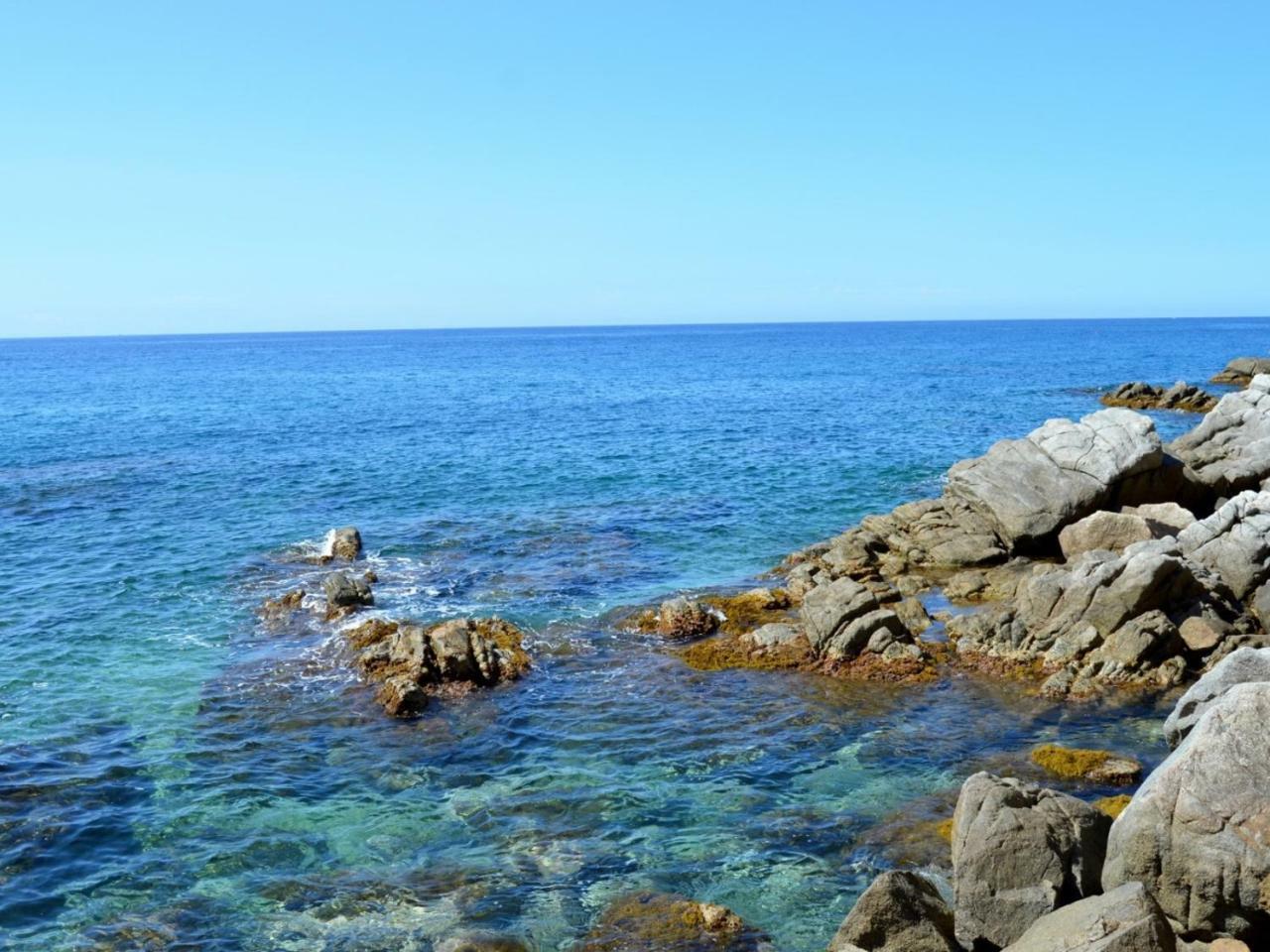 Studios Face A La Mer - Cala Llevado Tossa de Mar Kültér fotó