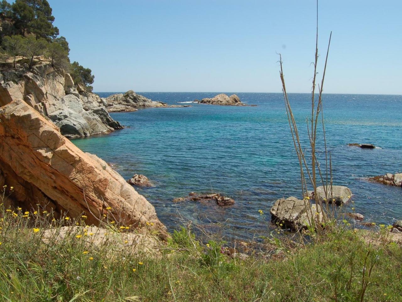 Studios Face A La Mer - Cala Llevado Tossa de Mar Kültér fotó